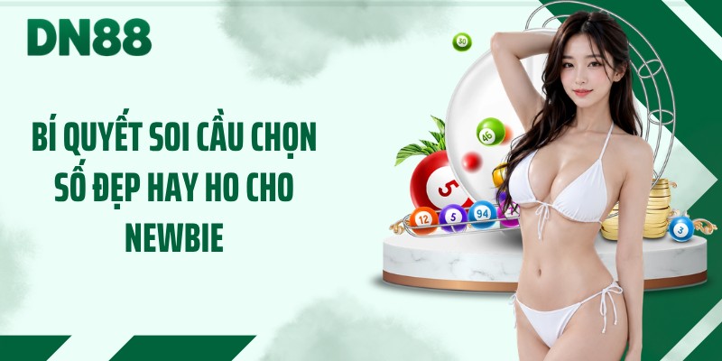 Bí quyết soi cầu chọn số đẹp hay ho cho newbie