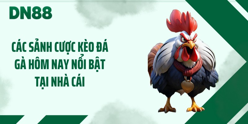 Các sảnh cược kèo đá gà hôm nay nổi bật tại nhà cái