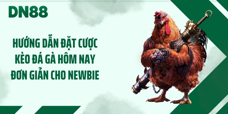 Hướng dẫn đặt cược kèo đá gà hôm nay đơn giản cho newbie