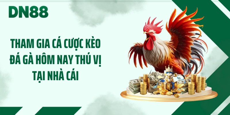 Tham gia cá cược kèo đá gà hôm nay thú vị tại nhà cái